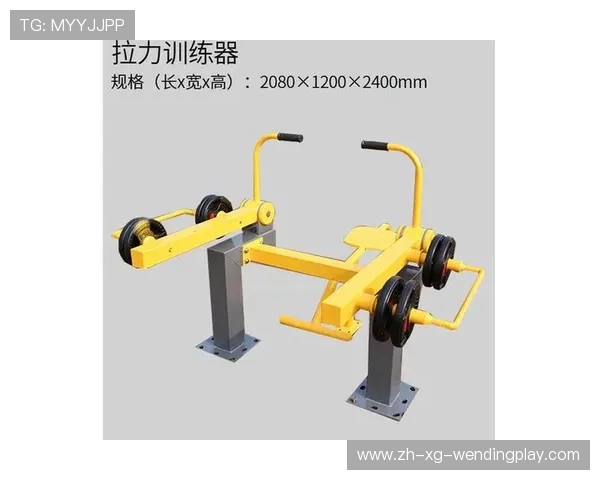 负重健身器材：负重型健身器材的训练作用及安全注意事项